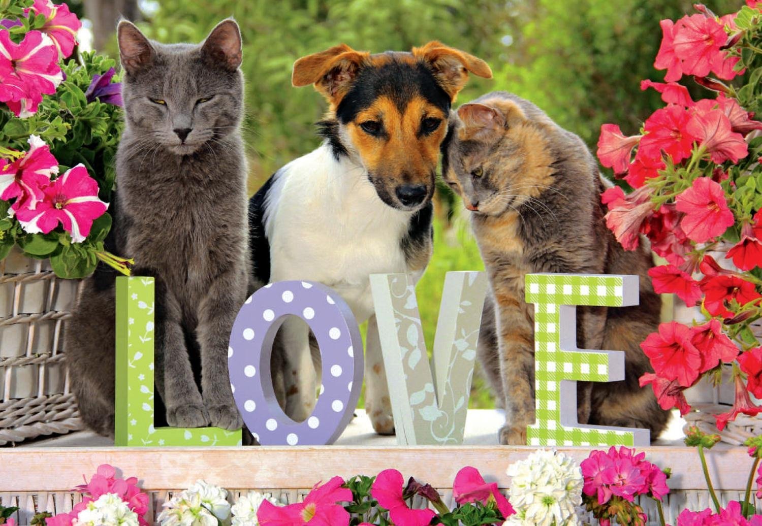 True Love