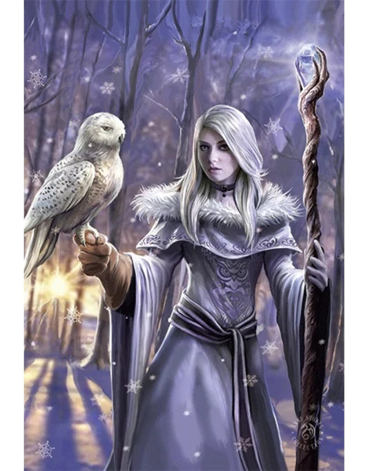 Anne Stokes - Winter Owl
