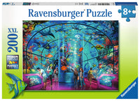 Ravensburger Aquatic Exhibition, Ciro Marchetti