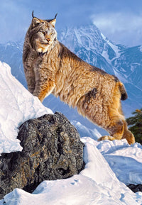 Ascension austère, Daniel Smith