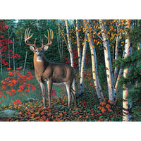 Autumn Sentinel, Kim Norlien