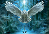 Anne Stokes - Éveillez votre magie