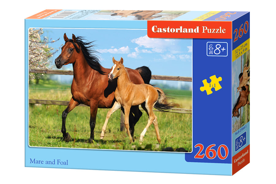 Mare and Foal