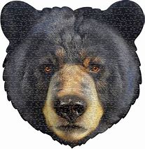 I Am Bear (550pcs)