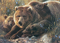 Grizzly Family, Carl Brenders (Family Puzzle)