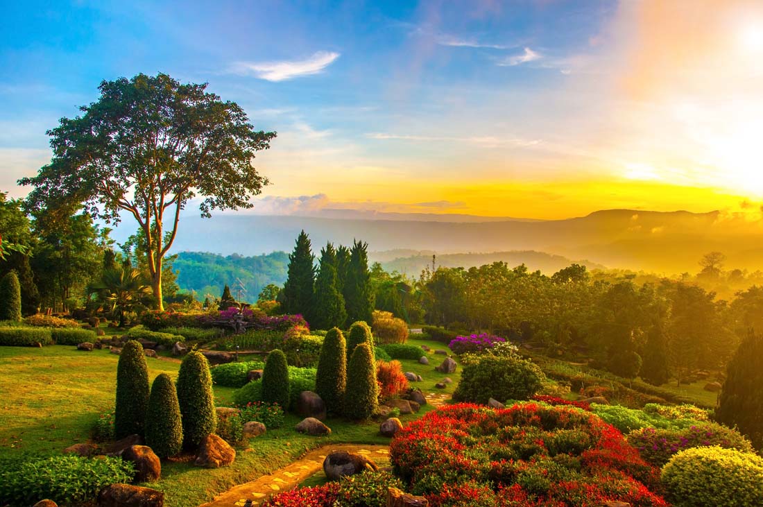 Beau jardin
