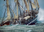 Belem: the Last French Tall Ship, Philip Plisson