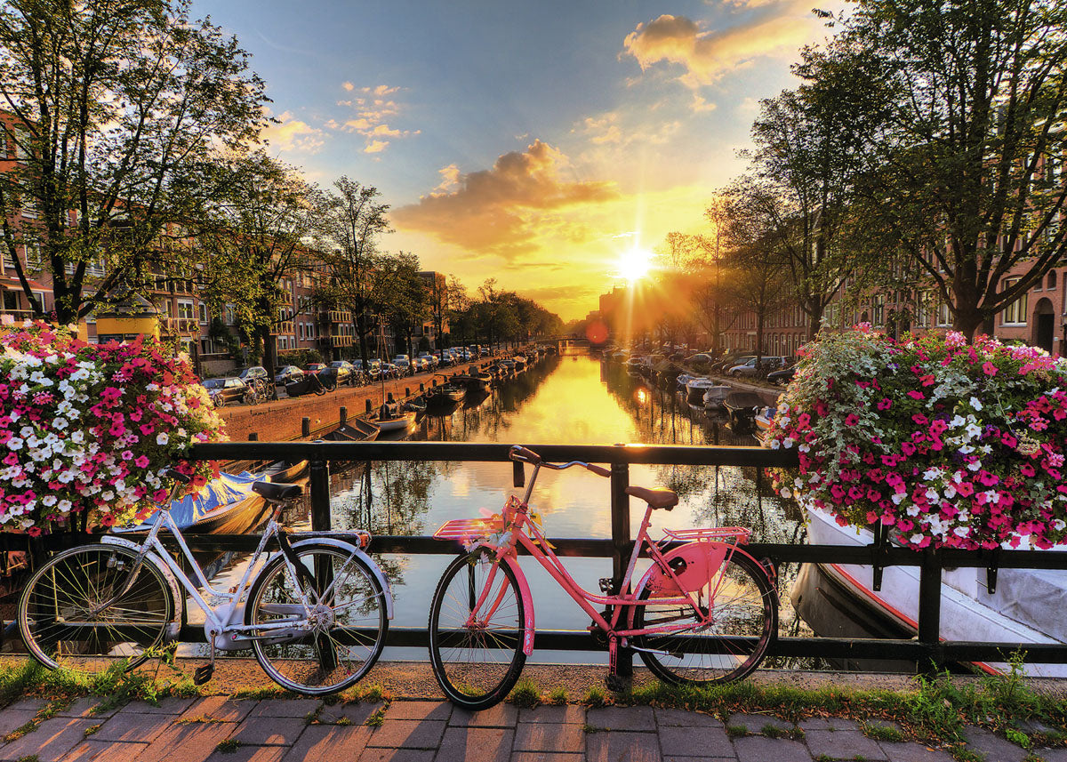 Ravensburger Bicycles à Amsterdam, Dennis Van de Water
