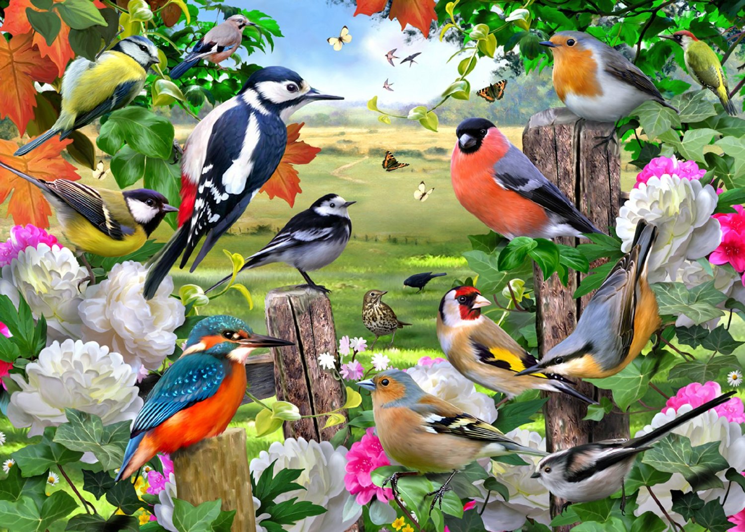 Birds for all Seasons, Howard Robinson