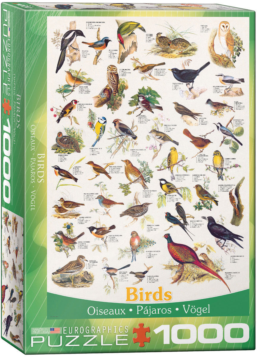 Birds