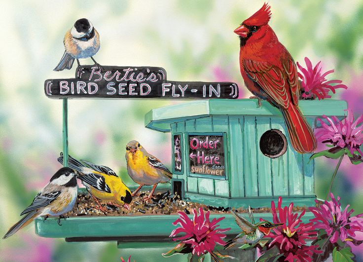 Bertie's Bird Seed Fly-In, Janene Grende (300XL)