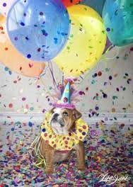 Garçon d'anniversaire