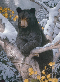 Black Bear, Jerry Gadamus