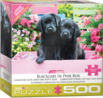 Black Labs in Pink Box (500XLpcs)