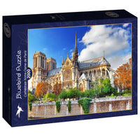 Cathédrale Notre-Dame de Paris, Brian Kinney (2000pcs)