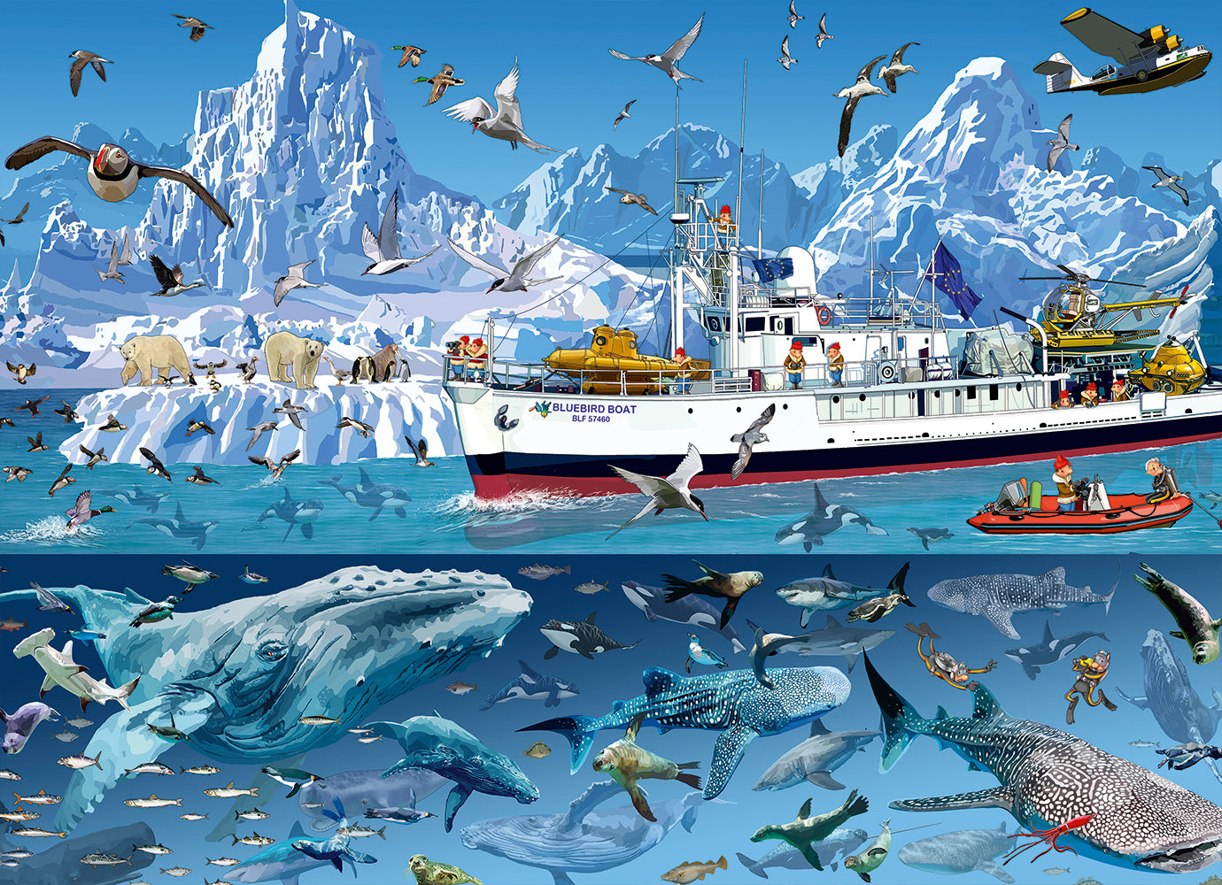 Bluebird Boat, Francois Ruyer (1500pcs)