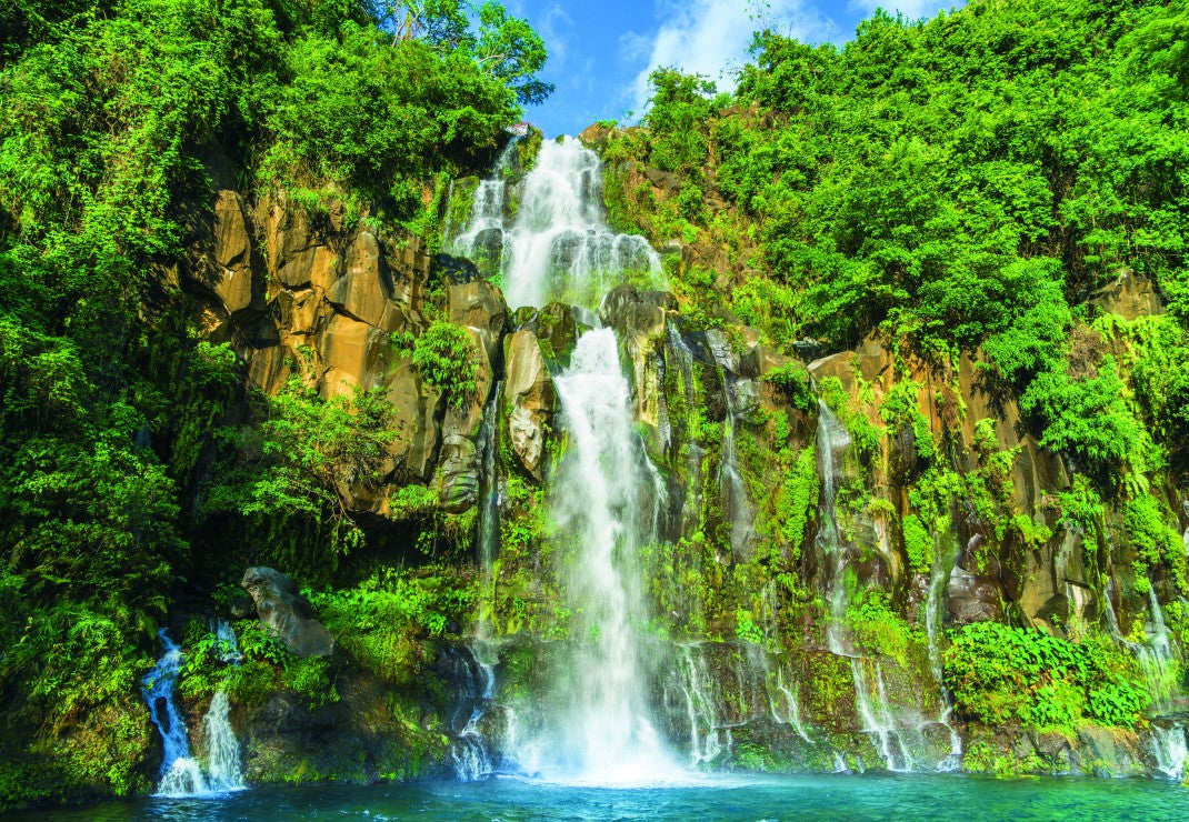DMG Reunion Island - Cascades des Aigrettes et du Cormoran (1000pcs) (DAMAGED BOX)
