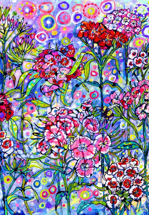 Sweet William, Sally Rich (1000pcs)