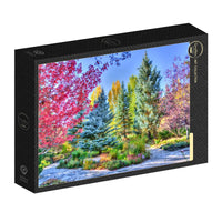 Forest colorée, Colorado, États-Unis (500pcs)
