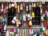 Bouées de homard, Kevin White