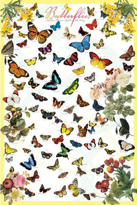 Butterflies