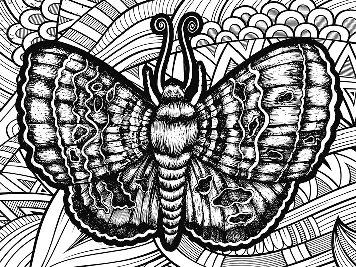Coloring Puzzle - Butterfly