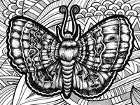 Puzzle de coloration - papillon