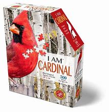 Je suis cardinal (300pcs)