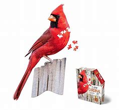 Je suis cardinal (300pcs)