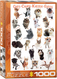 Classic Cat Breeds, Yoneo Morita