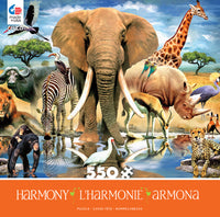 Oasis africain, Howard Robinson