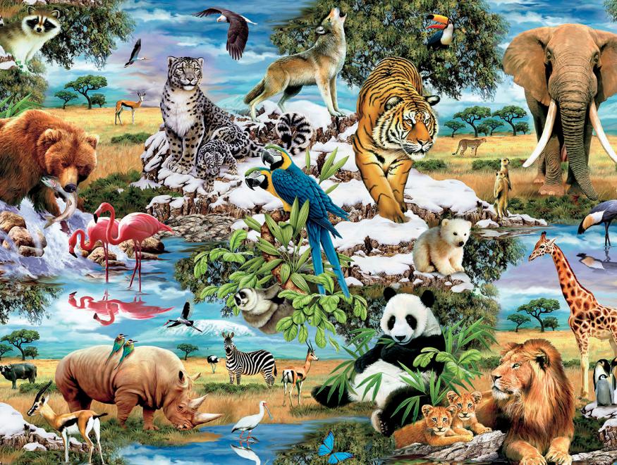 World's Wildlife, Howard Robinson