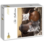 Chaton en pot (1000pcs)