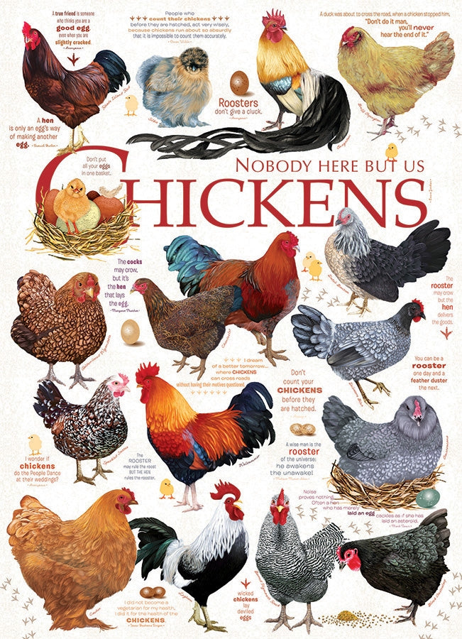 Citations de poulet, Ashley Davis