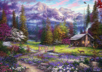 Inspiration DMG de Spring Meadows, Chuck Pinson (500pcs) (boîte endommagée)