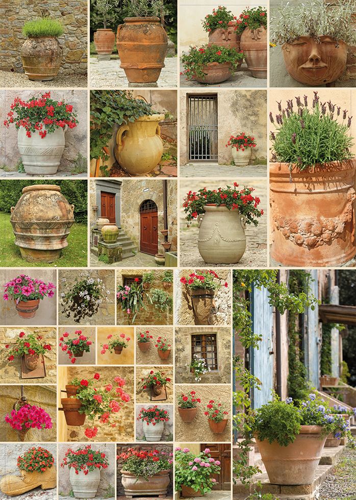 Clay Pots with Flowers