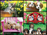 Puppies and Kittens, Keith Kimberlin