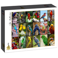 Collage - Les plus beaux oiseaux du monde (1500pcs)