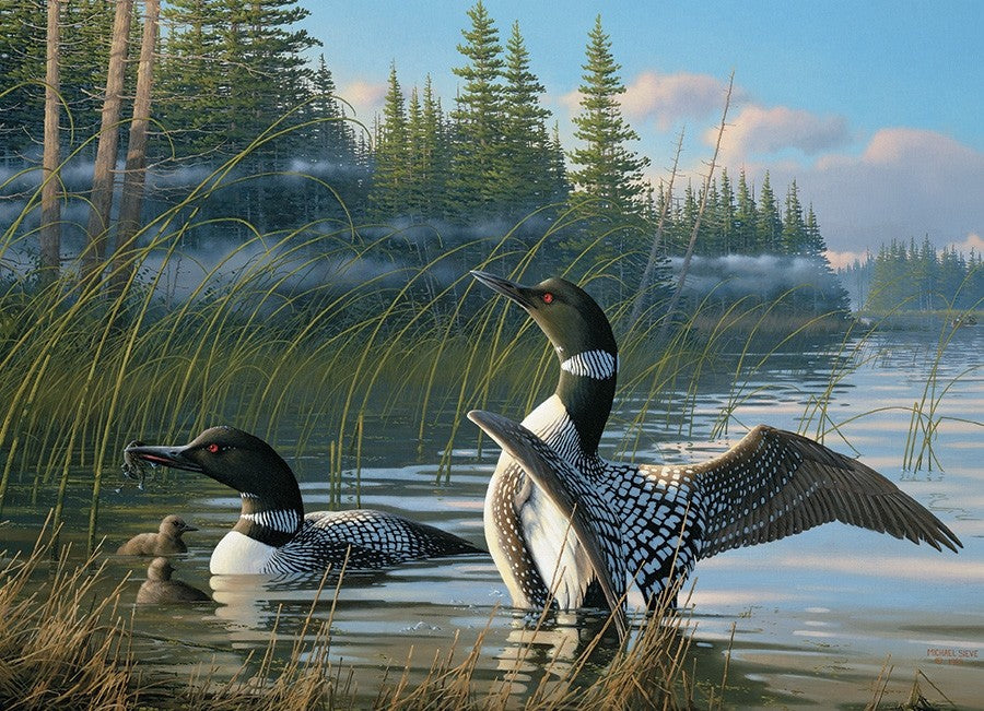 Common Loons, Michael Sieve