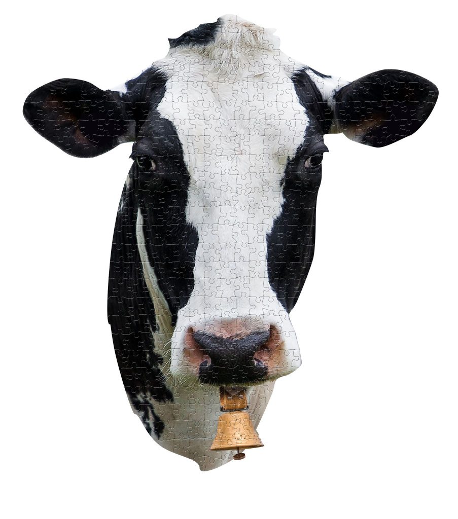 Je suis vache (300pcs)