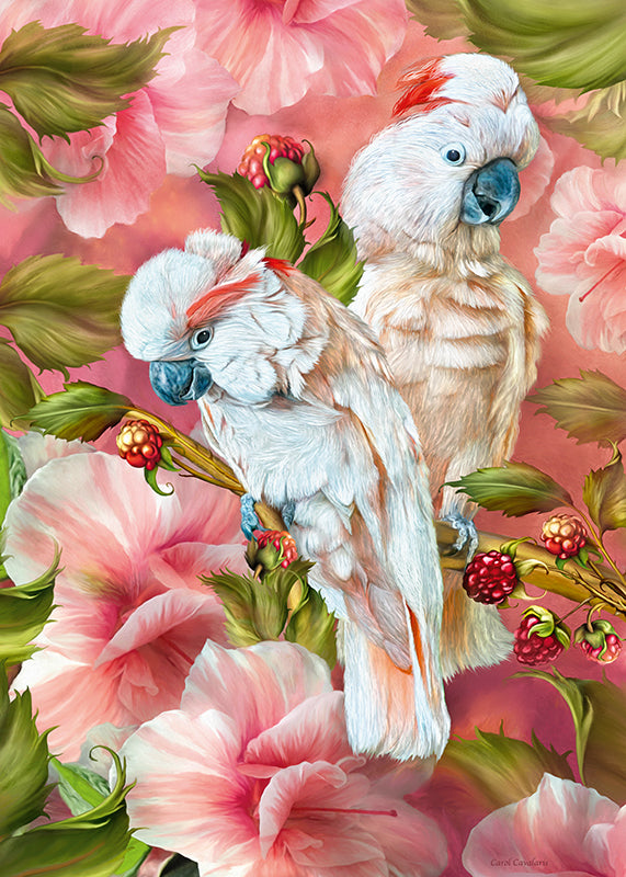 Tropic Spirits-Cockatoo (1000pcs)