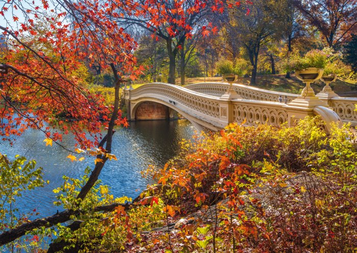 A Stroll Through Central Park, New York