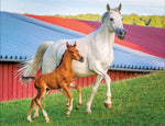 Mommy and Baby Farm Horses