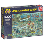 Fun en mer profonde, Jan van Haasterren