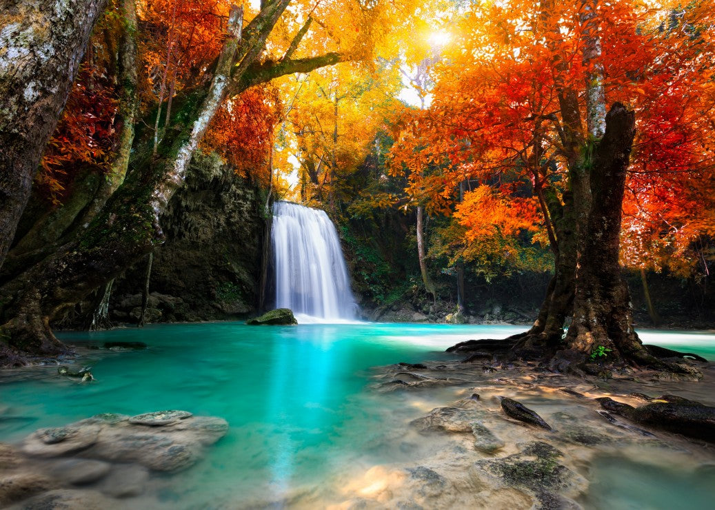Deep Forest Waterfall (500pcs)