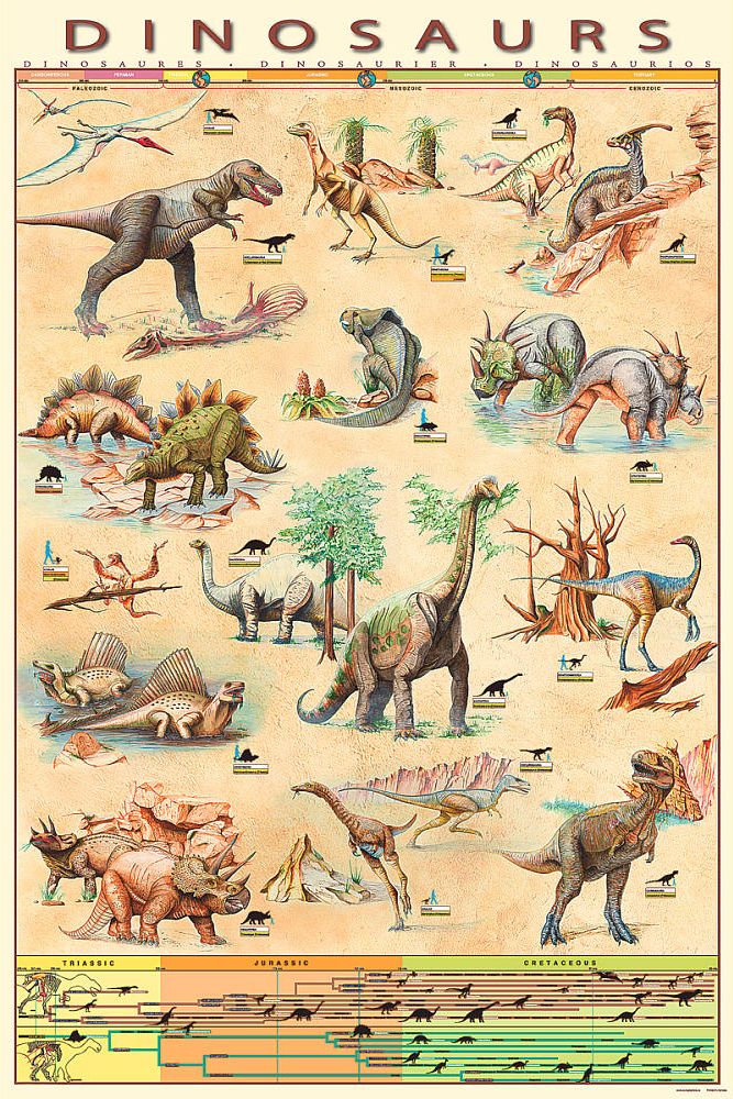 Dinosaurs