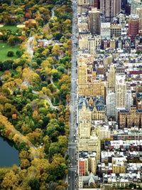 Ravensburger Divided Town, Kayte Dolmatch