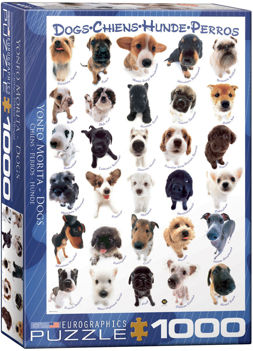 Dog Breeds, Yoneo Morita