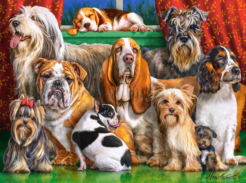 Dog Club, Marcello Corti (3000pcs)