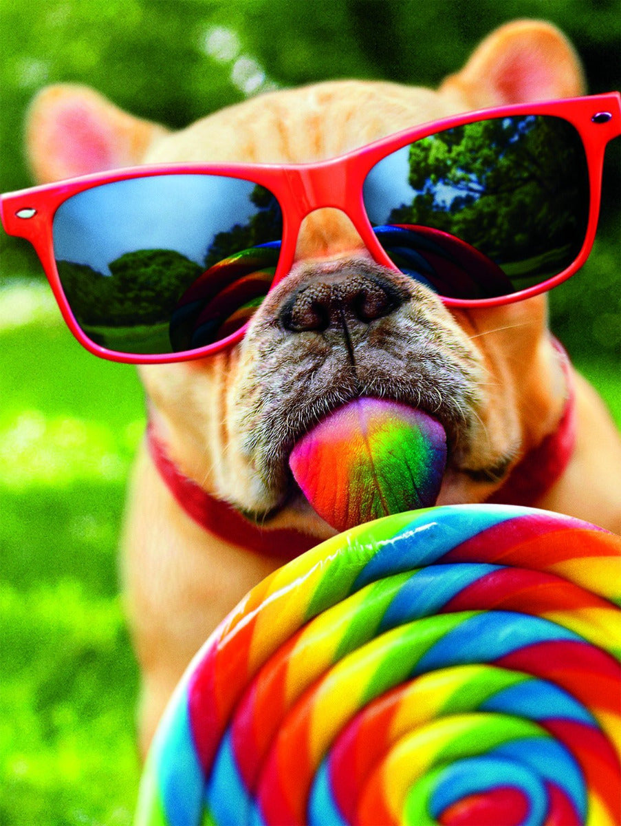 Dog with Lollipop